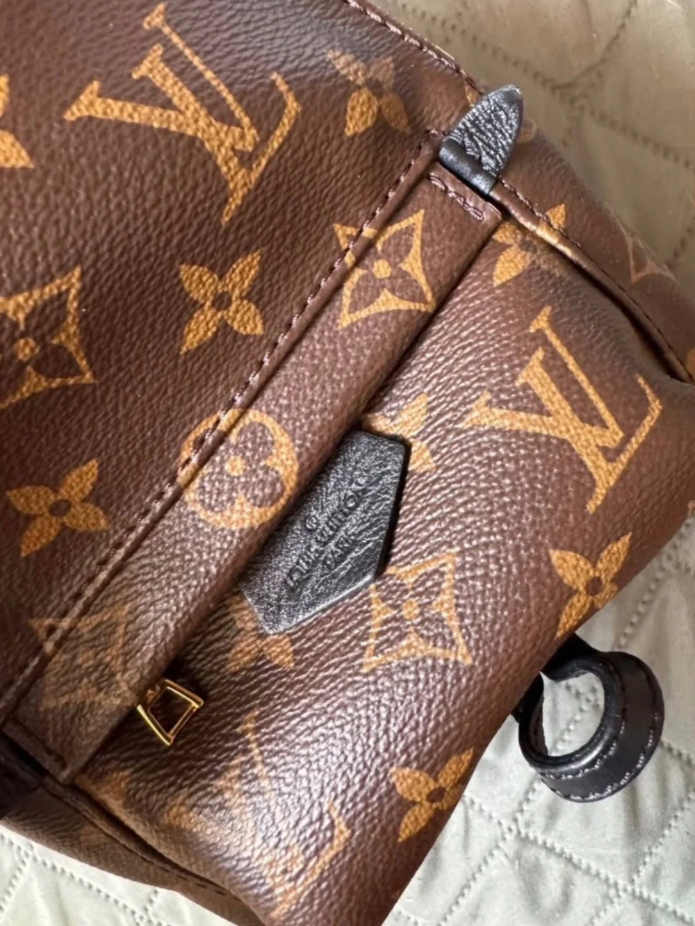 Louis Vuitton palm spring mini backpack